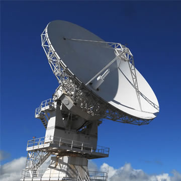 Contact Chris Shugart